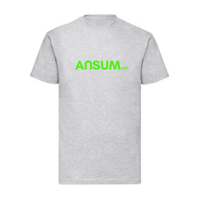 Ansumco. Boys Grey T-Shirt ansum.co